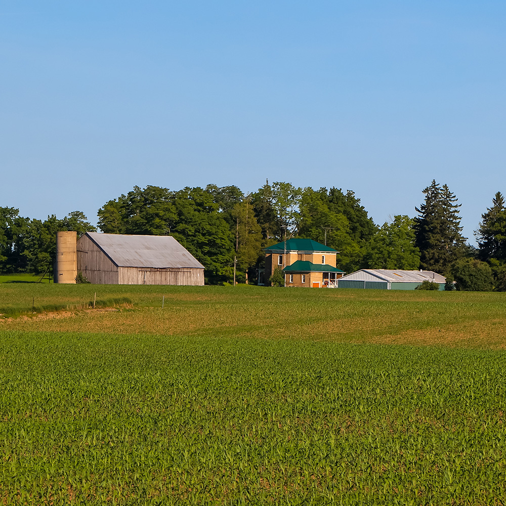 Farm